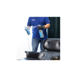 CLINEX Multi Spray - Mango 1L